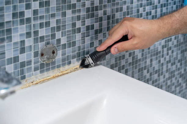 Trusted Clever, MO Mold Remediation Experts